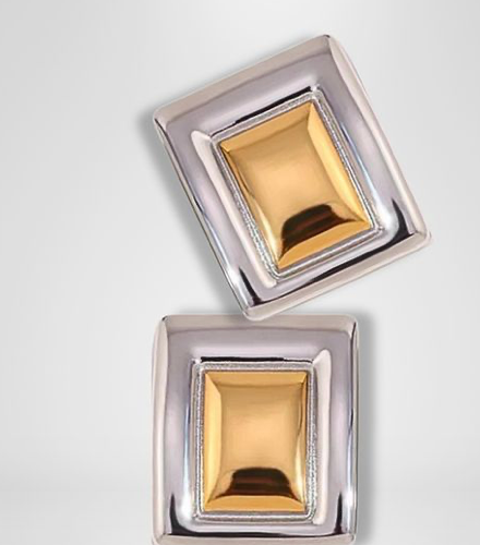 Framed- Stud Earring- Two Tone Earring