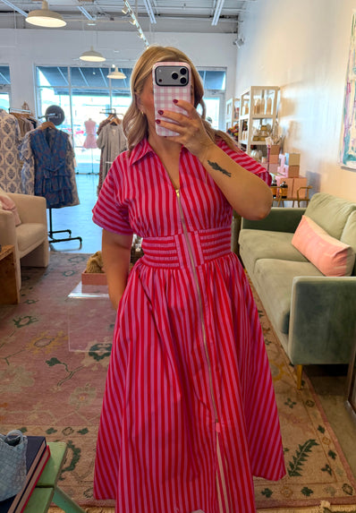 Spencer stripe zip up dress