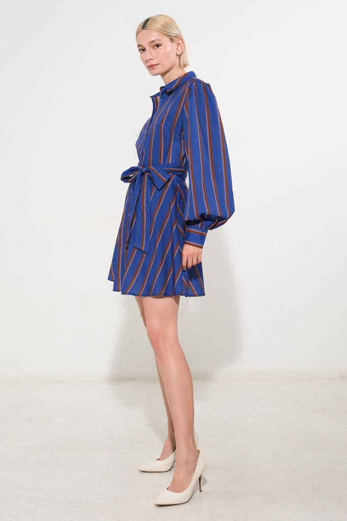 Navy stripe shirt dress